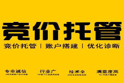 SEM代运营机构成功案例：全方位营销策略解析